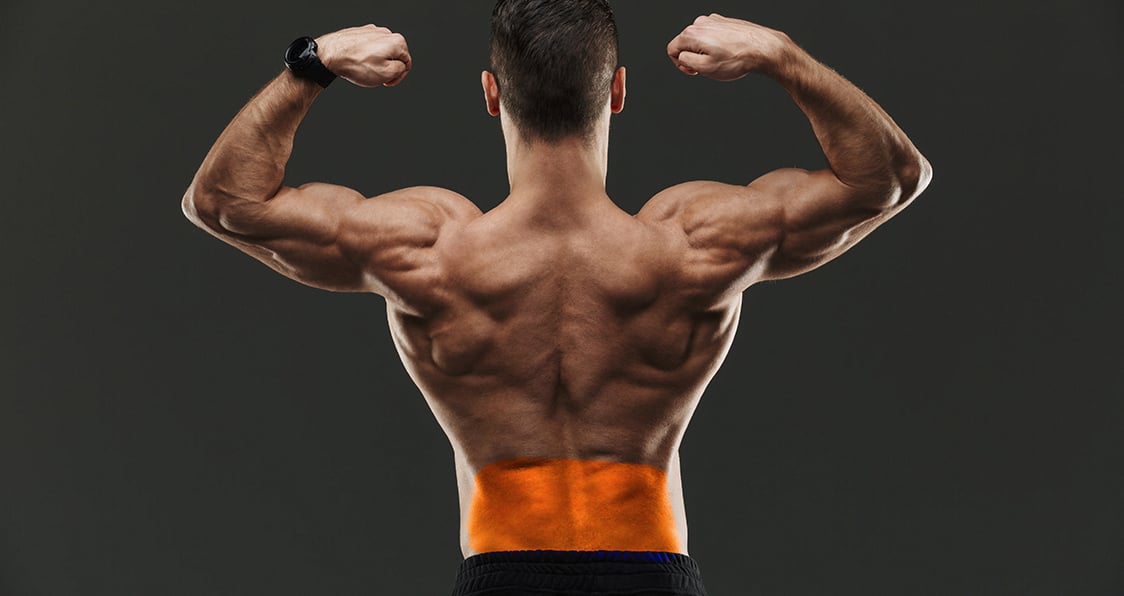 5 Workouts To Build a Ripped Lower Back Generation Iron