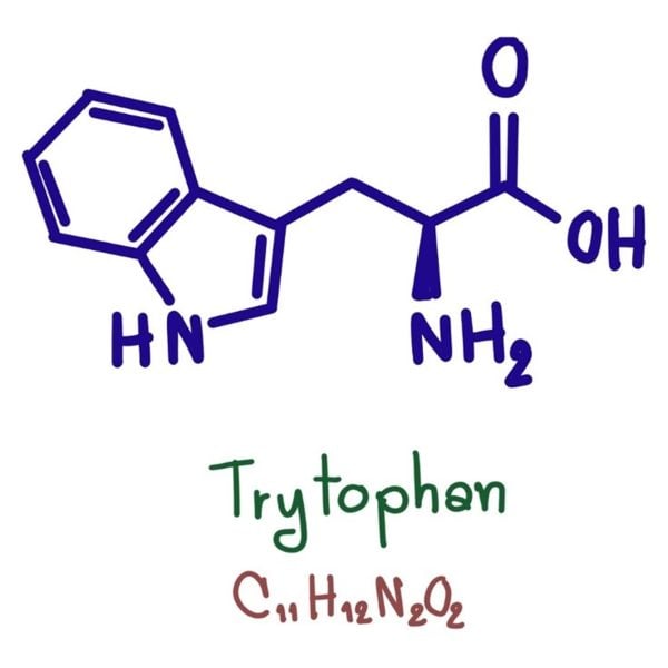 tryptophan