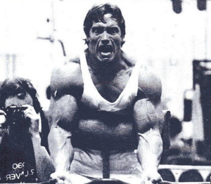 arnold training