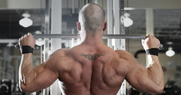 Best Back Exercises All with - PAT'S IRON muscle GYM