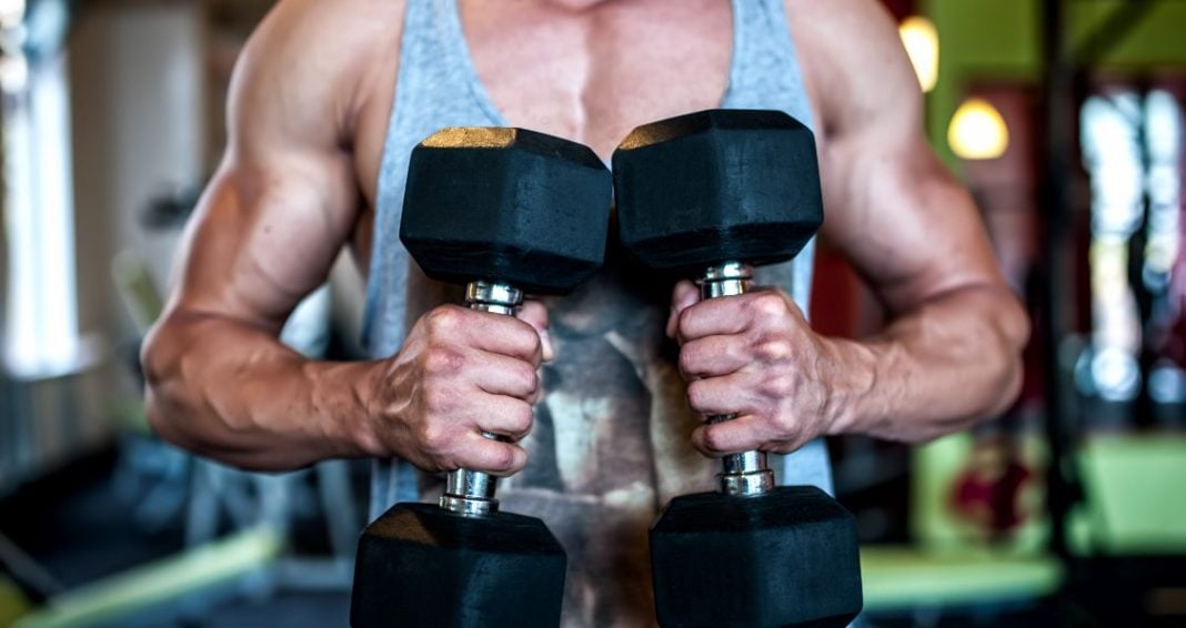 The MuscleBuilding Dumbbell Workout Plan Generation Iron