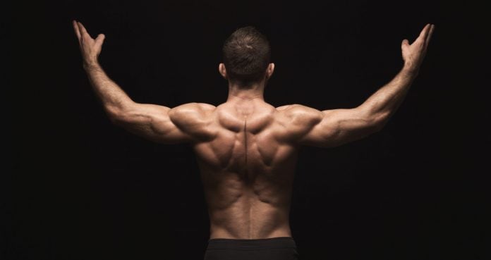 Everything You Need to Know to Build a Strong Back