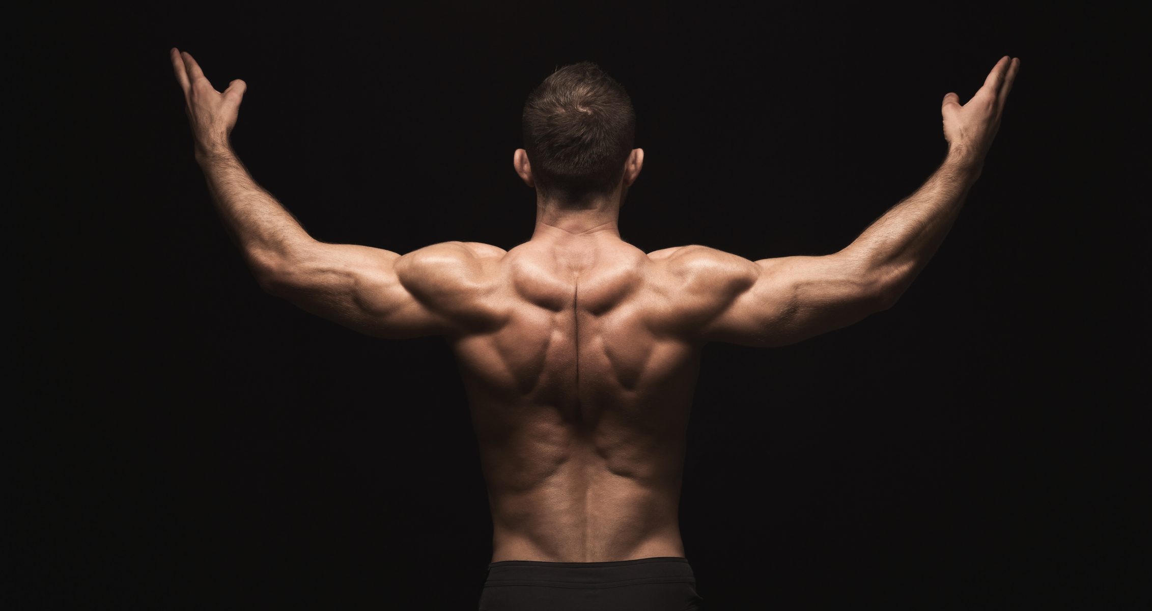 Strong back. Человек показывает мышцы. Мужская спина мышцы. Сэм Сулек бодибилдер.