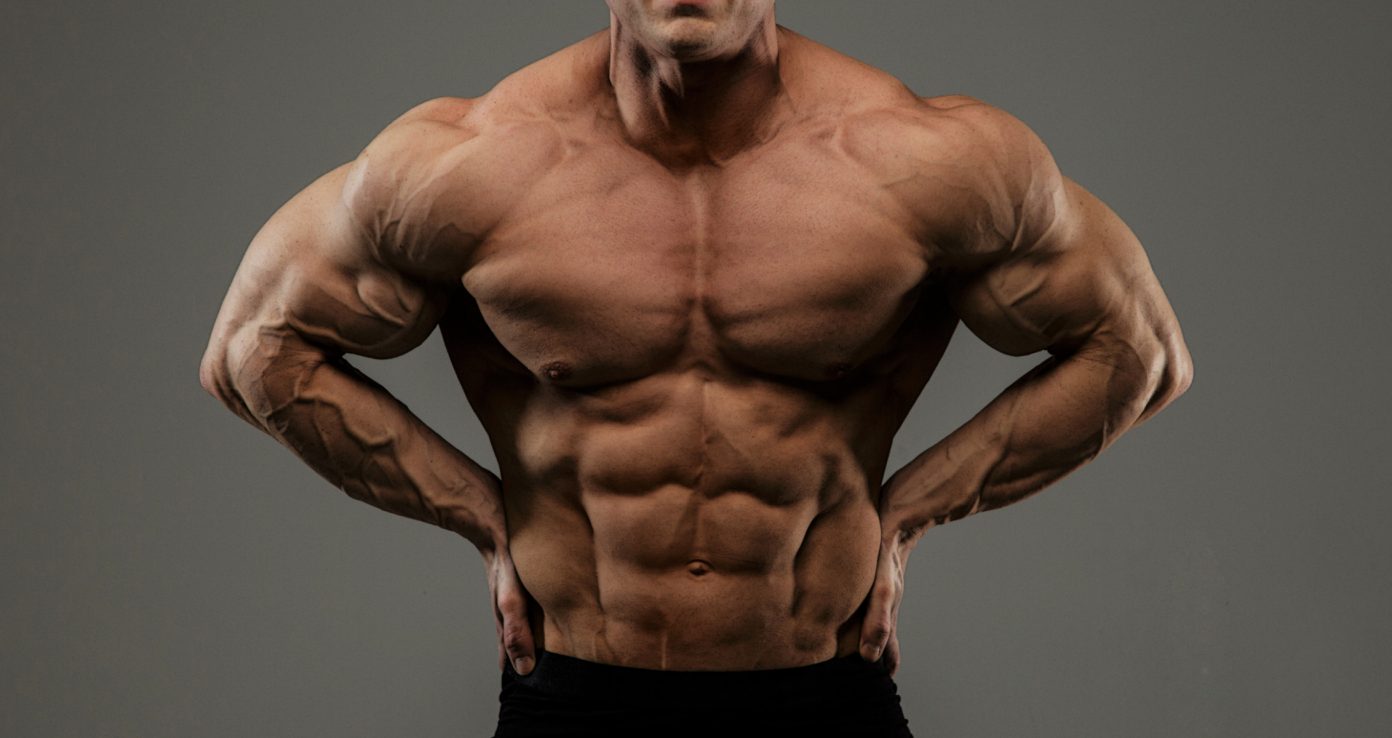 Bodybuilding Muscle Anatomy Explained