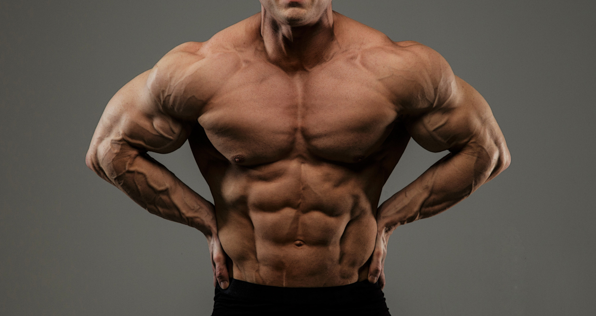 Bodybuilding Muscle Anatomy Explained