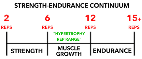 The Science Rep Ranges for Hypertrophy