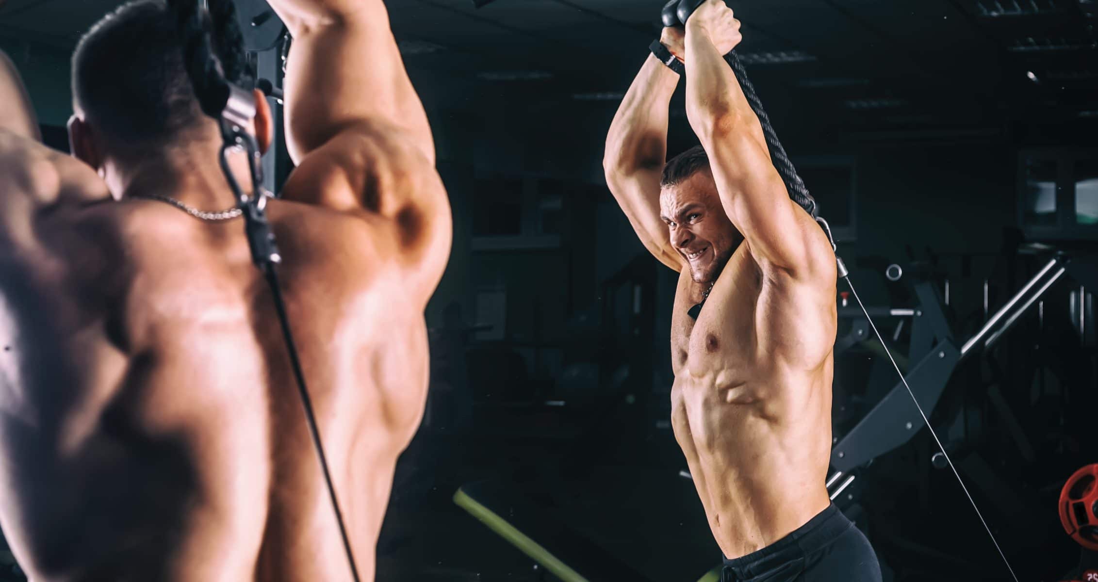8 Cable Overhead Triceps Extension Alternatives