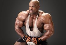 ronnie coleman the king workout