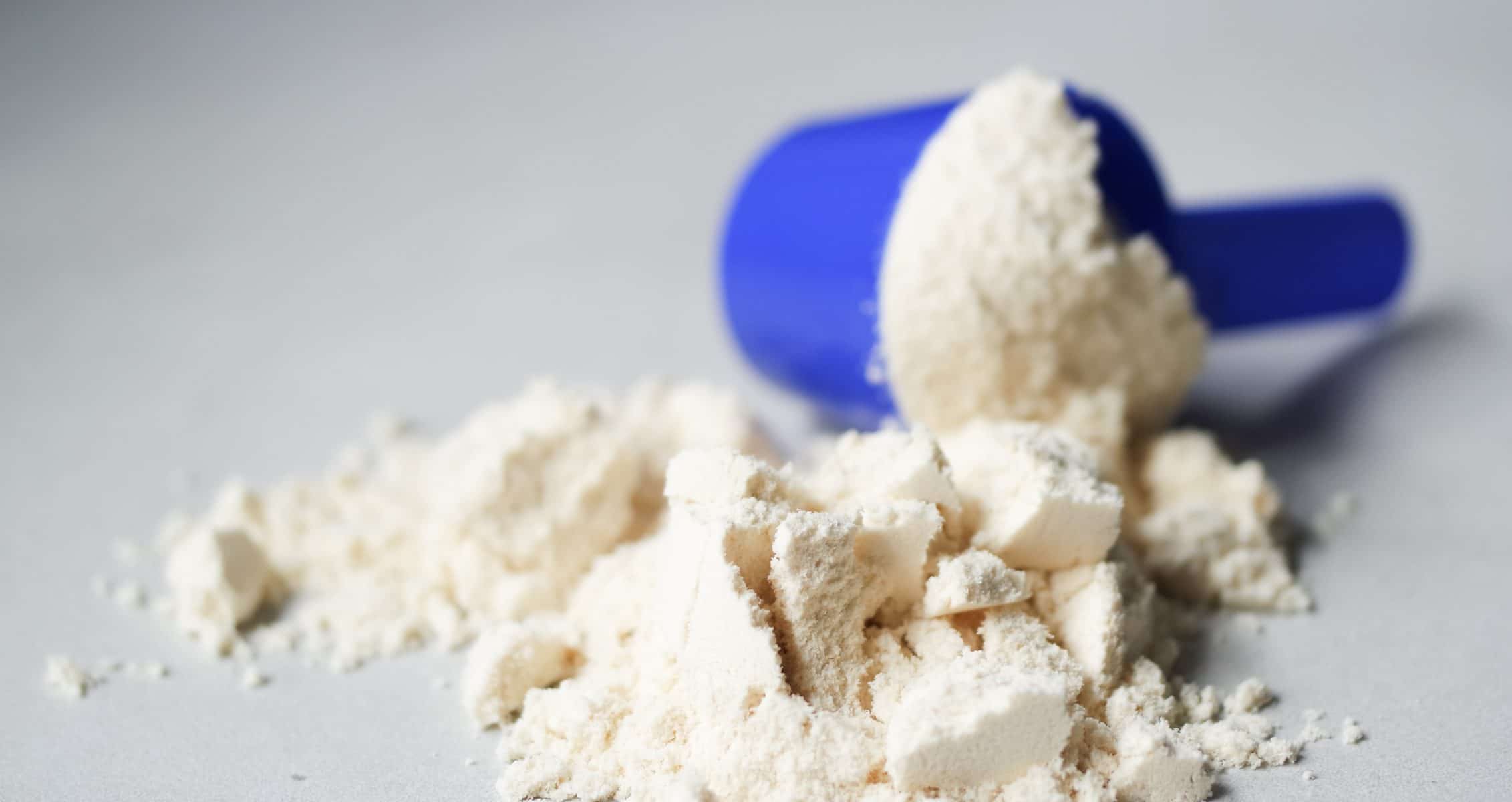 protein powders