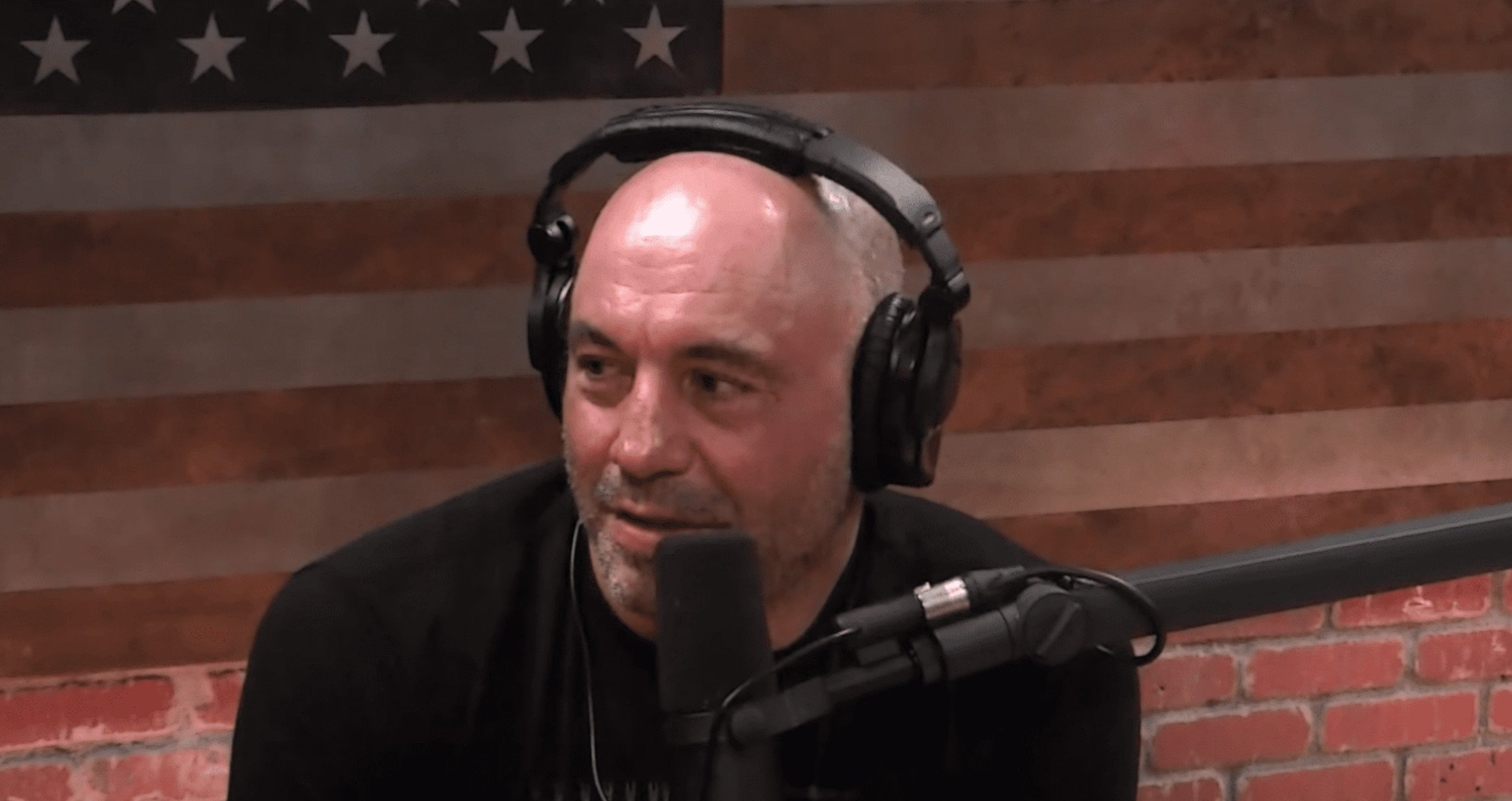 Joe Rogan Trashes Men's Physique In Recent Podcast Episode