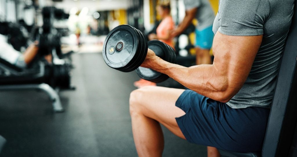 muscle growth bro split vs arnold