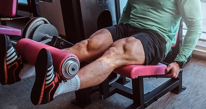 How Big Should Men Build Their Legs?