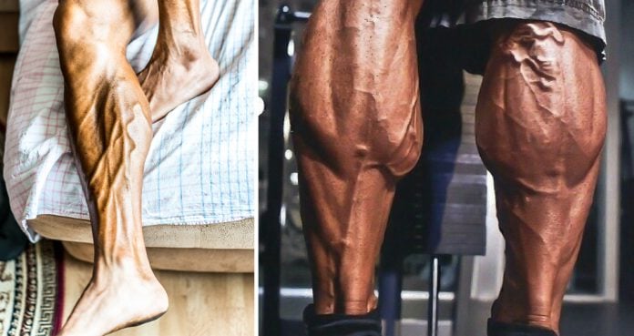 big calves