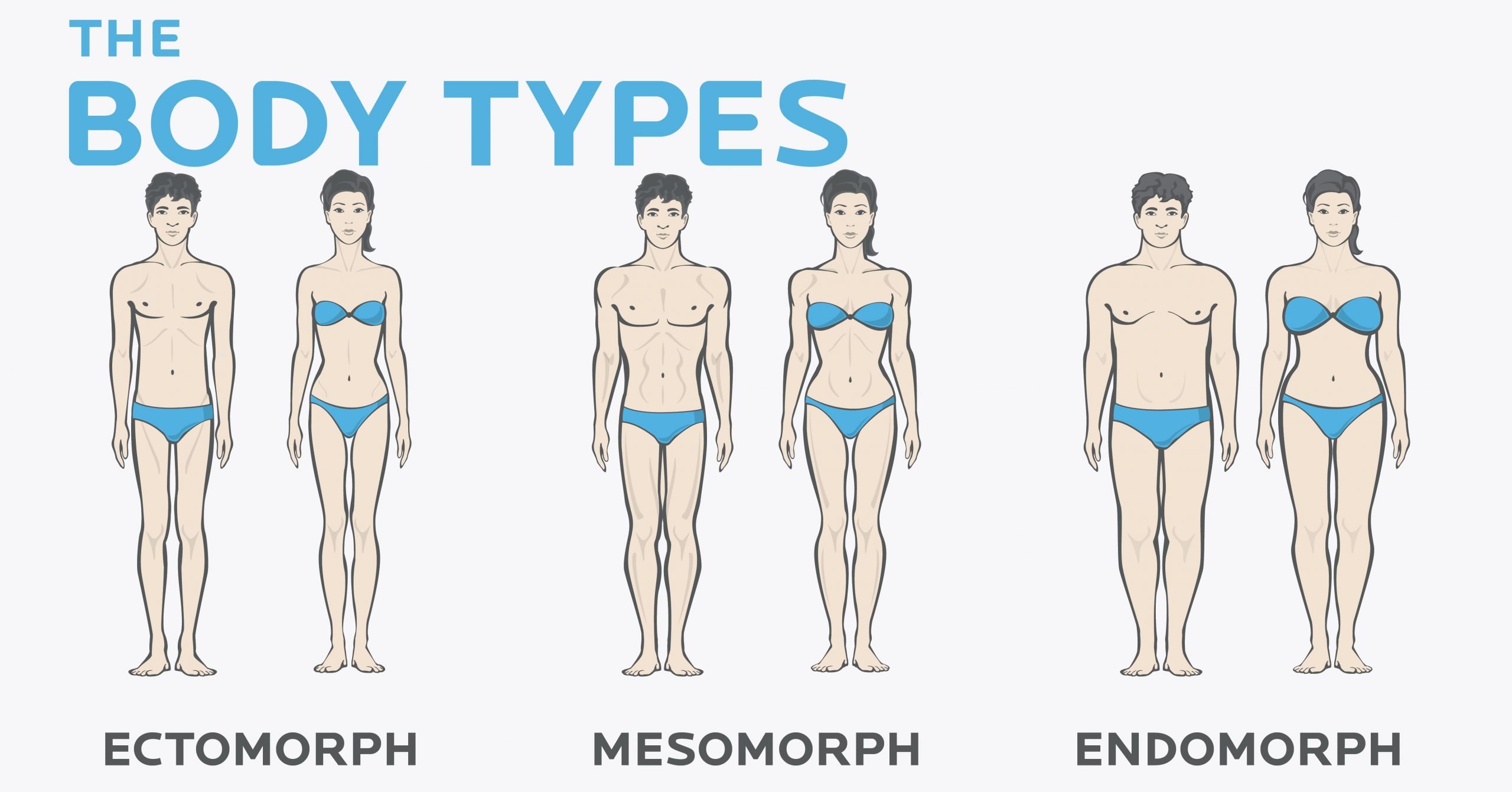 endo morph body type