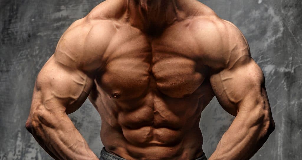 vegan bodybuilders