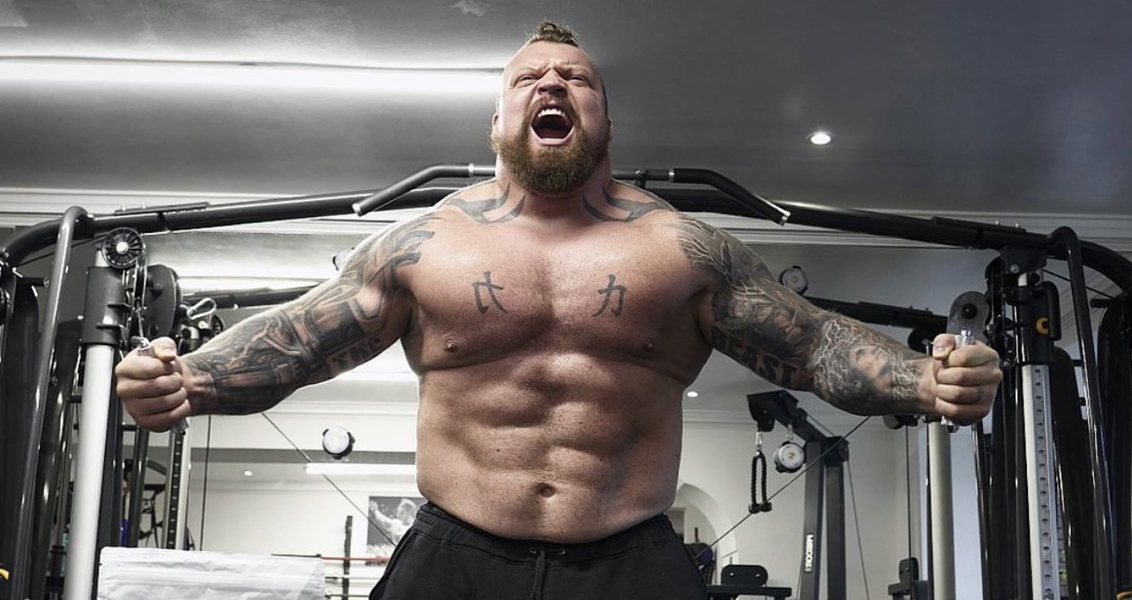 Eddie hall bicep discount curl