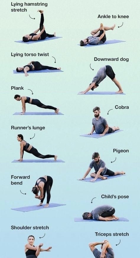 Warm Up Exercises & Stretches, Benefits & How To