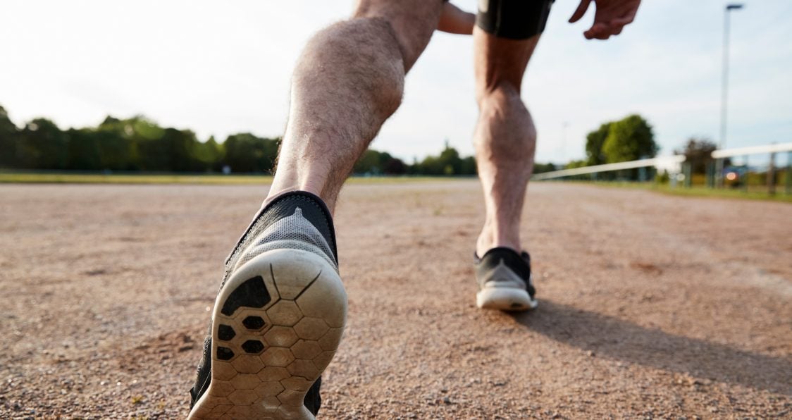 donkey calf raises