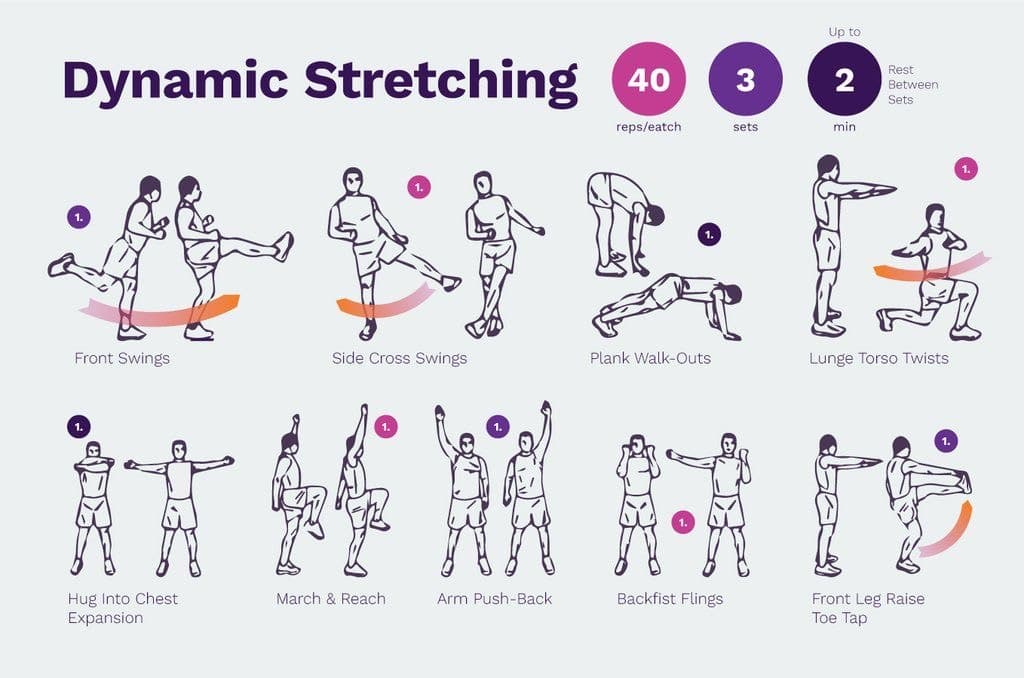 Best Dynamic stretches