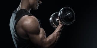 best biceps exercises