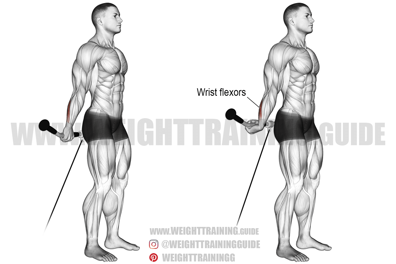 behind back cable wrist curl