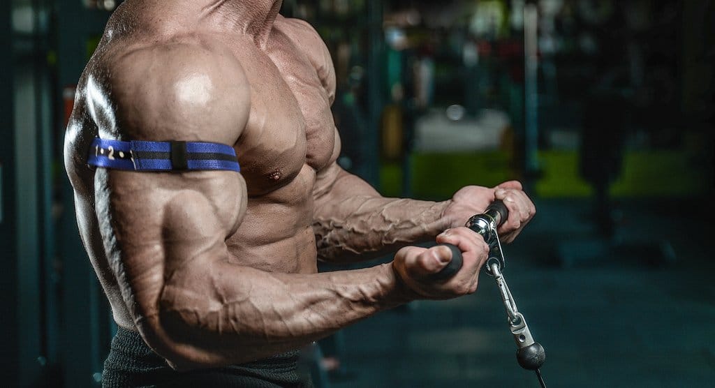 The 10 Highest-Rated Bicep Exercises - Generation Iron