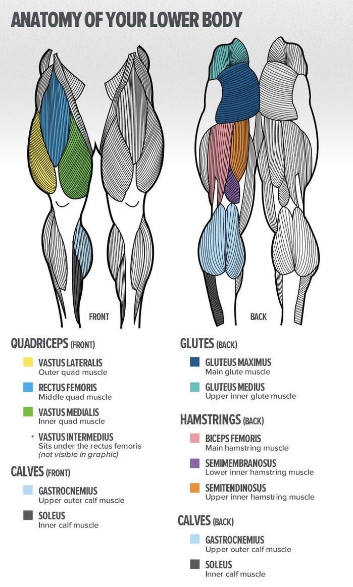 Kai greene leg anatomy