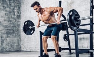 Barbell row vs cable rows