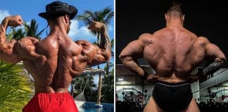 chris bumstead back workout cover