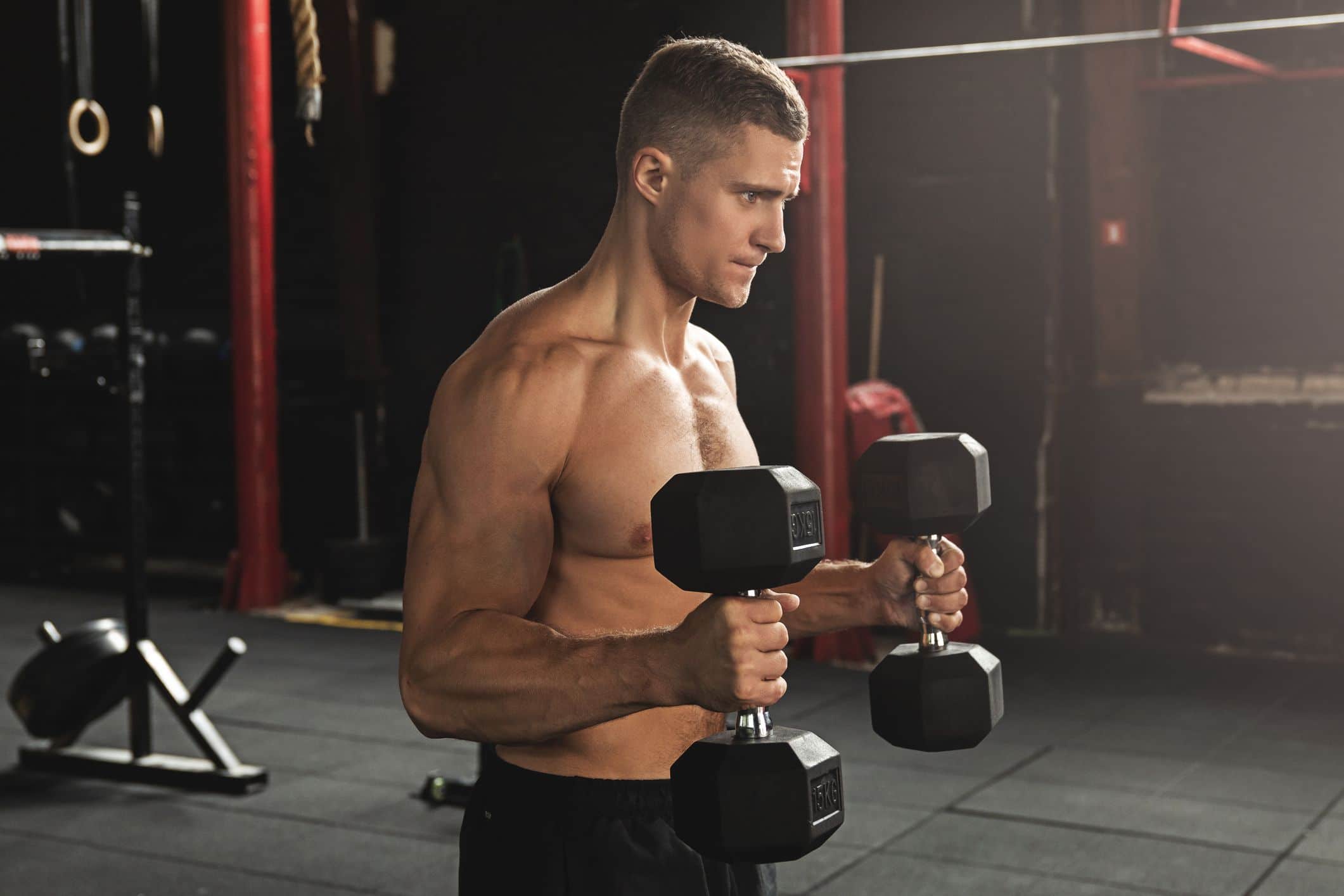 dumbbell hammer curls