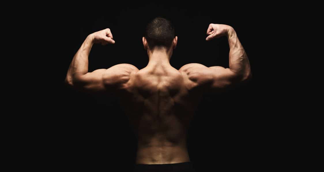 Helpful Tips On How to Build a V Shaped Back