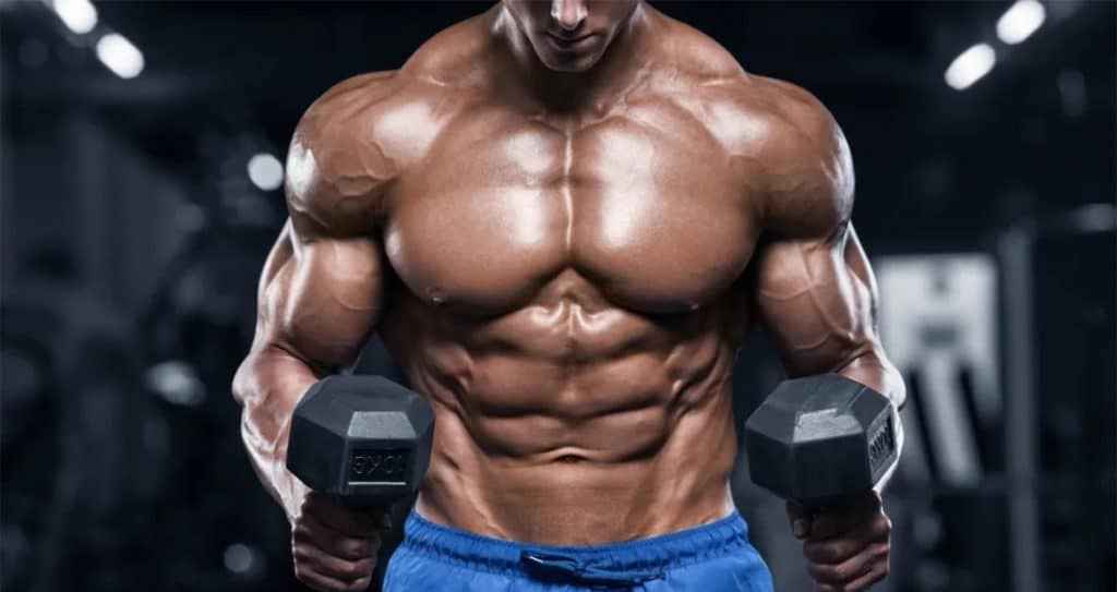 Total-Body Transformation Program