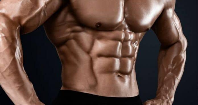 Abs strong sixpack muscle