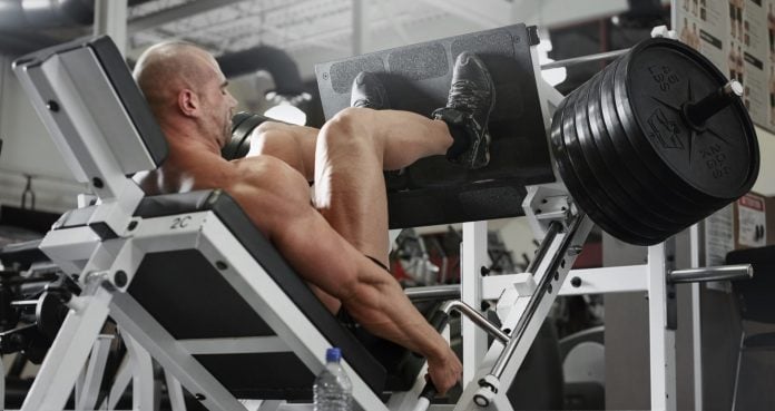 How To Build Tree Trunk Legs For Serious Growth