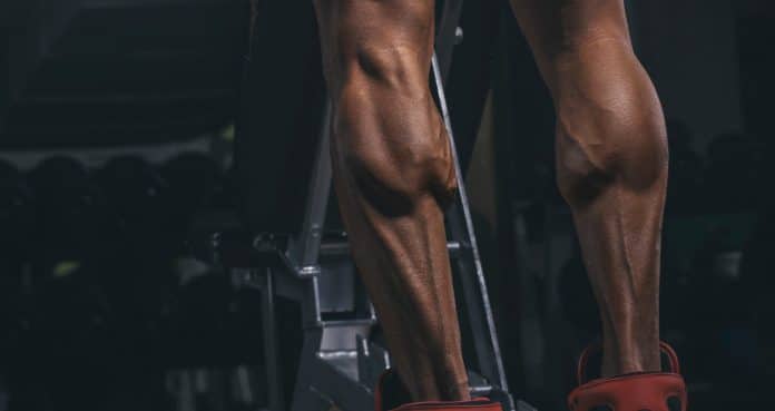 Calf discount muscle growth