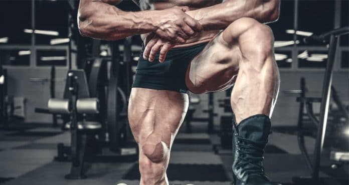 Single leg quad discount exercises