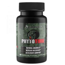 Enhanced PhytoTurk