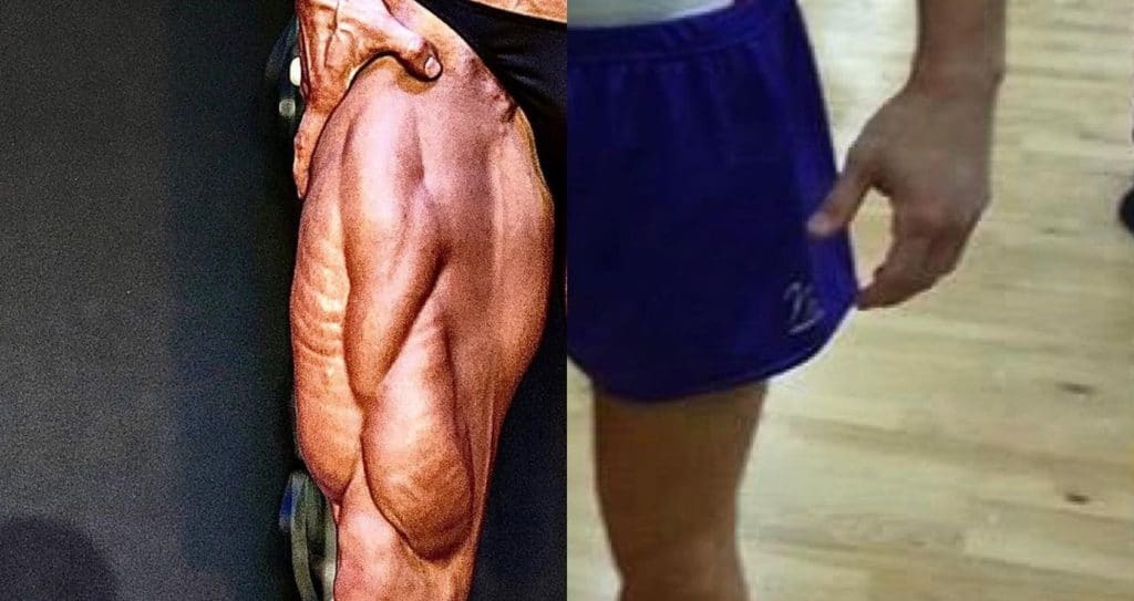 Mitch Jarvis' on genetics