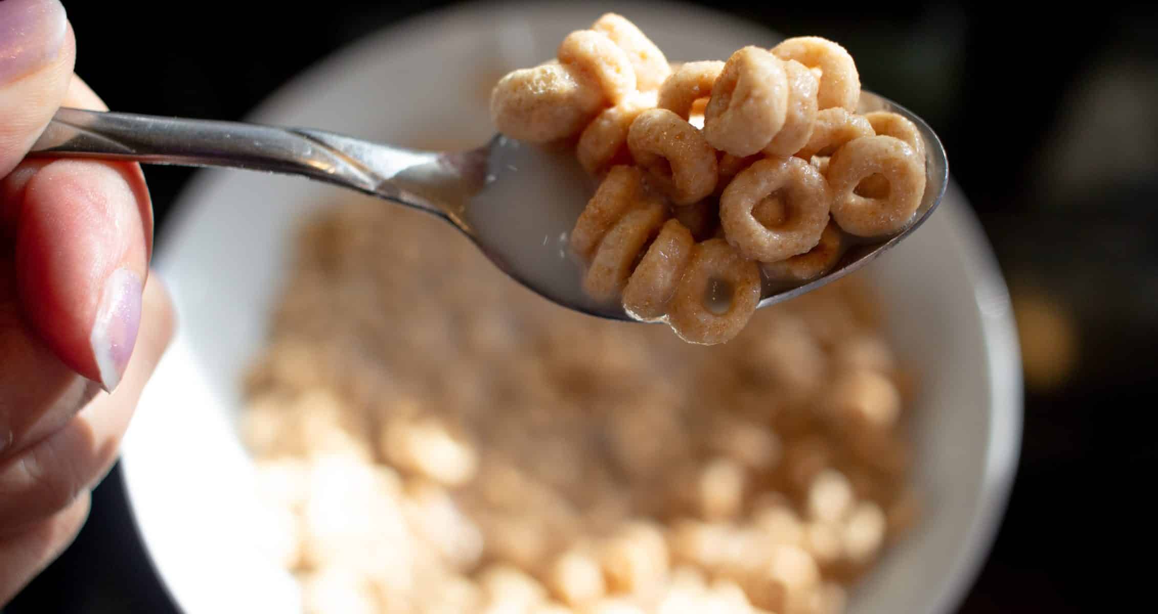 Healthy Cereal Bowl