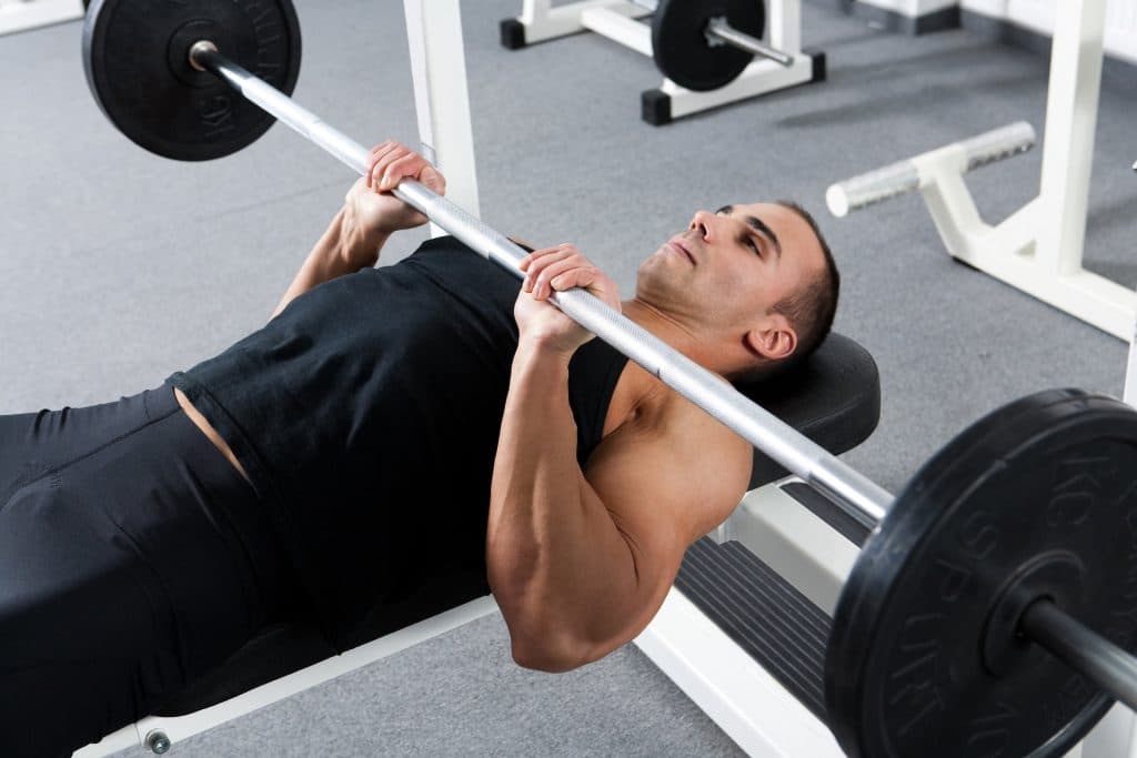 Three heads of the triceps