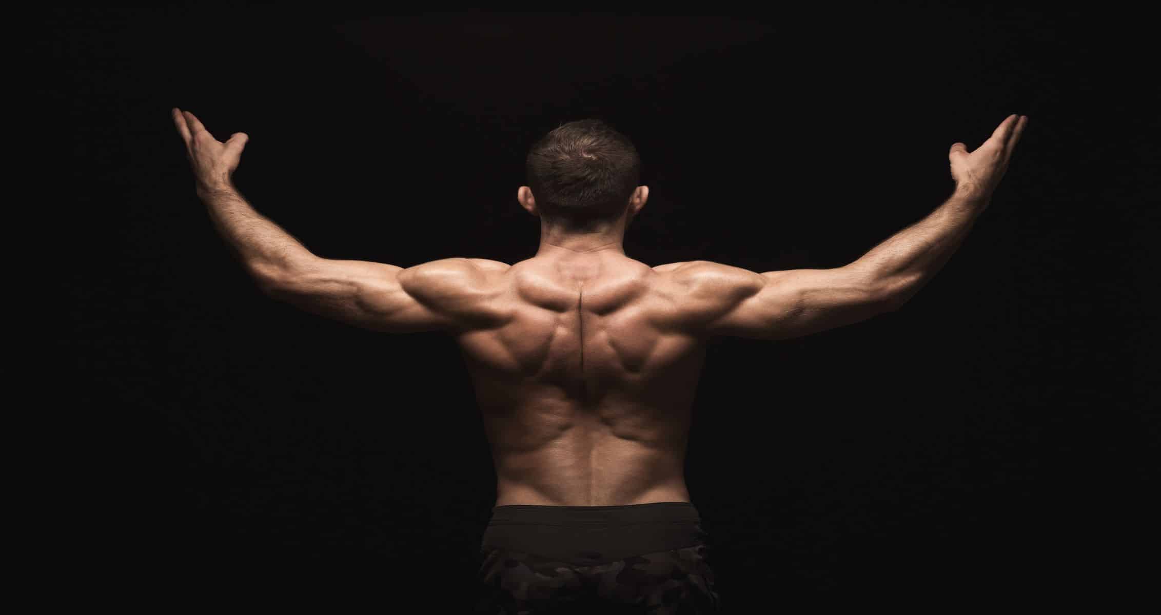 v-taper back muscles