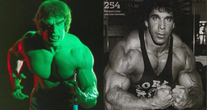 lou ferrigno's hulk workout plan