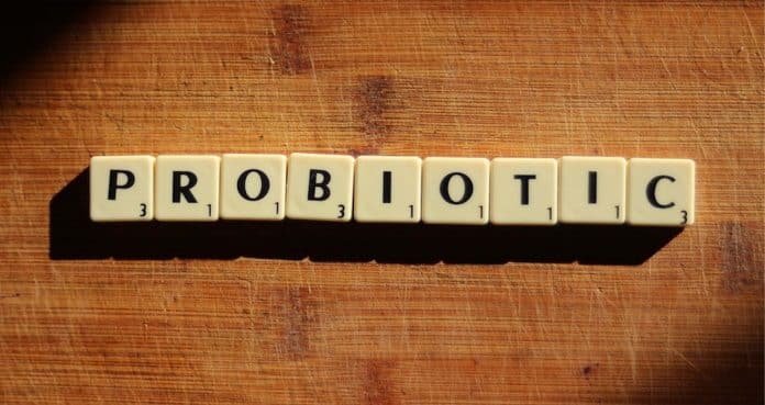 Probiotics and bodybuilding