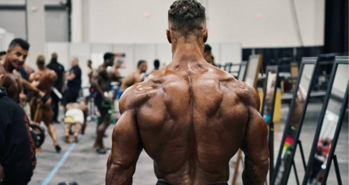 chris bumstead's back workout routine
