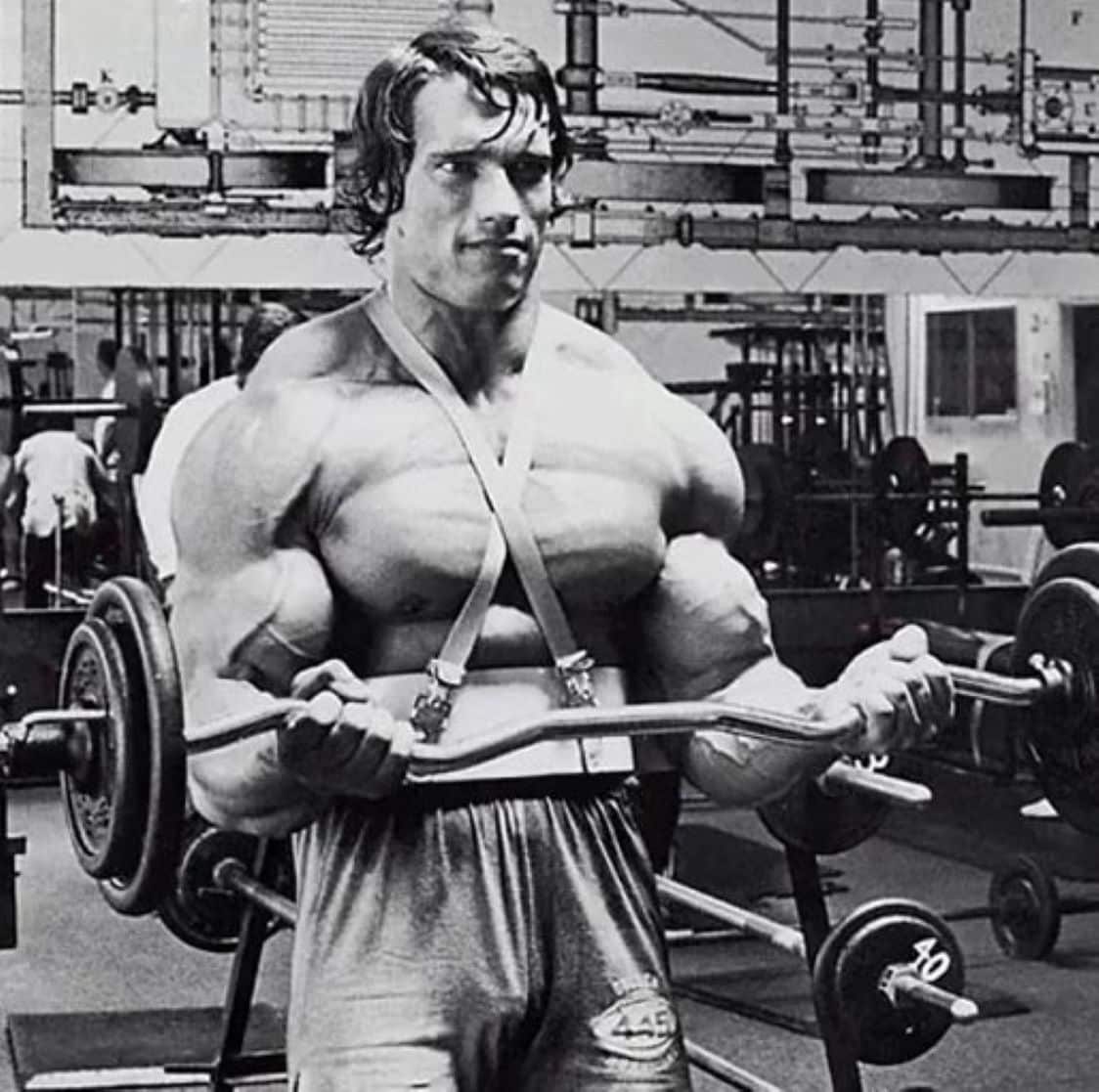 Arnold bicep blaster new arrivals