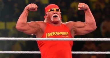 hollywood hogan