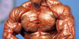 bodybuilding blood