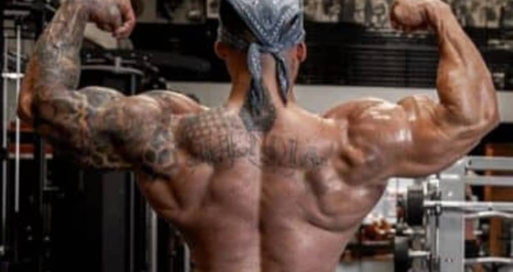 jeremy buendia's and charjo grant's back workout