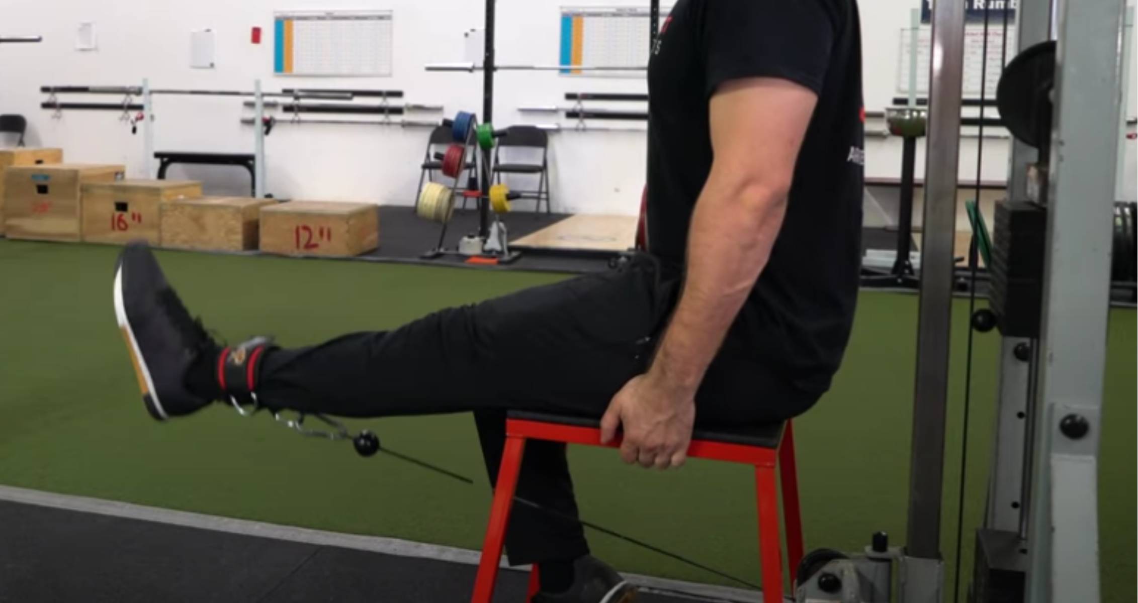 Cable Leg Extension Exercise Guide — How to, Benefits, and More