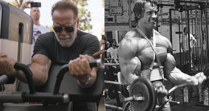 Arnold Schwarzenegger's Biography In And Out Of the Gym